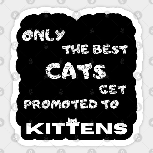 Only the best cats get promoted to kittens Funny Sticker by Hohohaxi